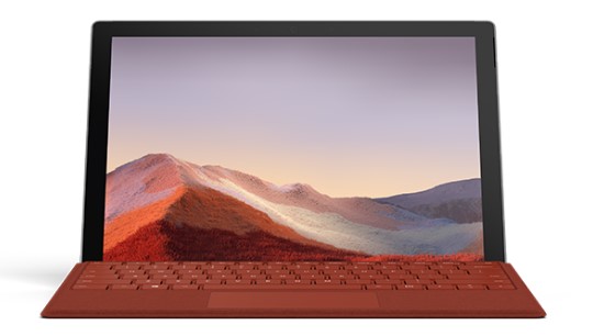 武侯清洁和维护 Surface